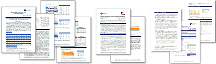 （図）月次報告